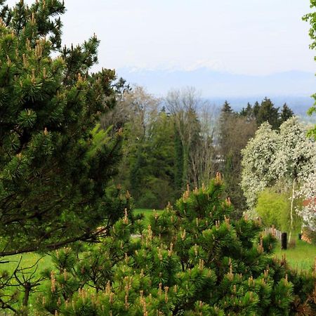 Business Apartment Schwarzach Экстерьер фото